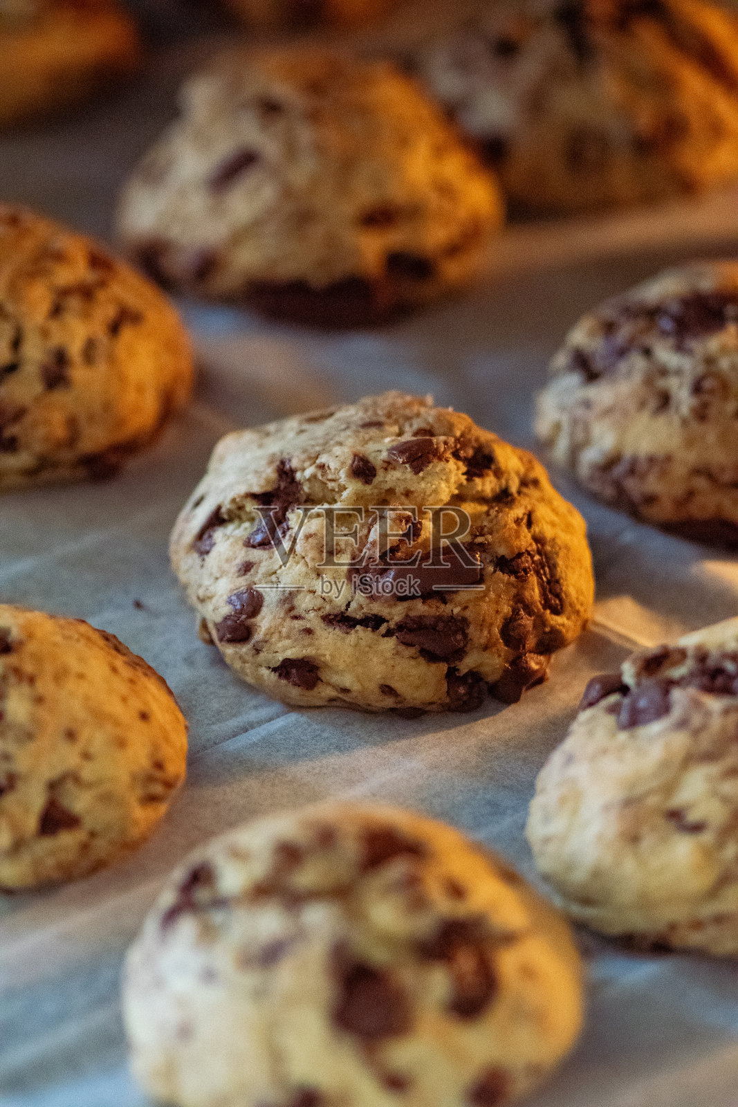 烤箱里刚出炉的巧克力曲奇饼干照片摄影图片