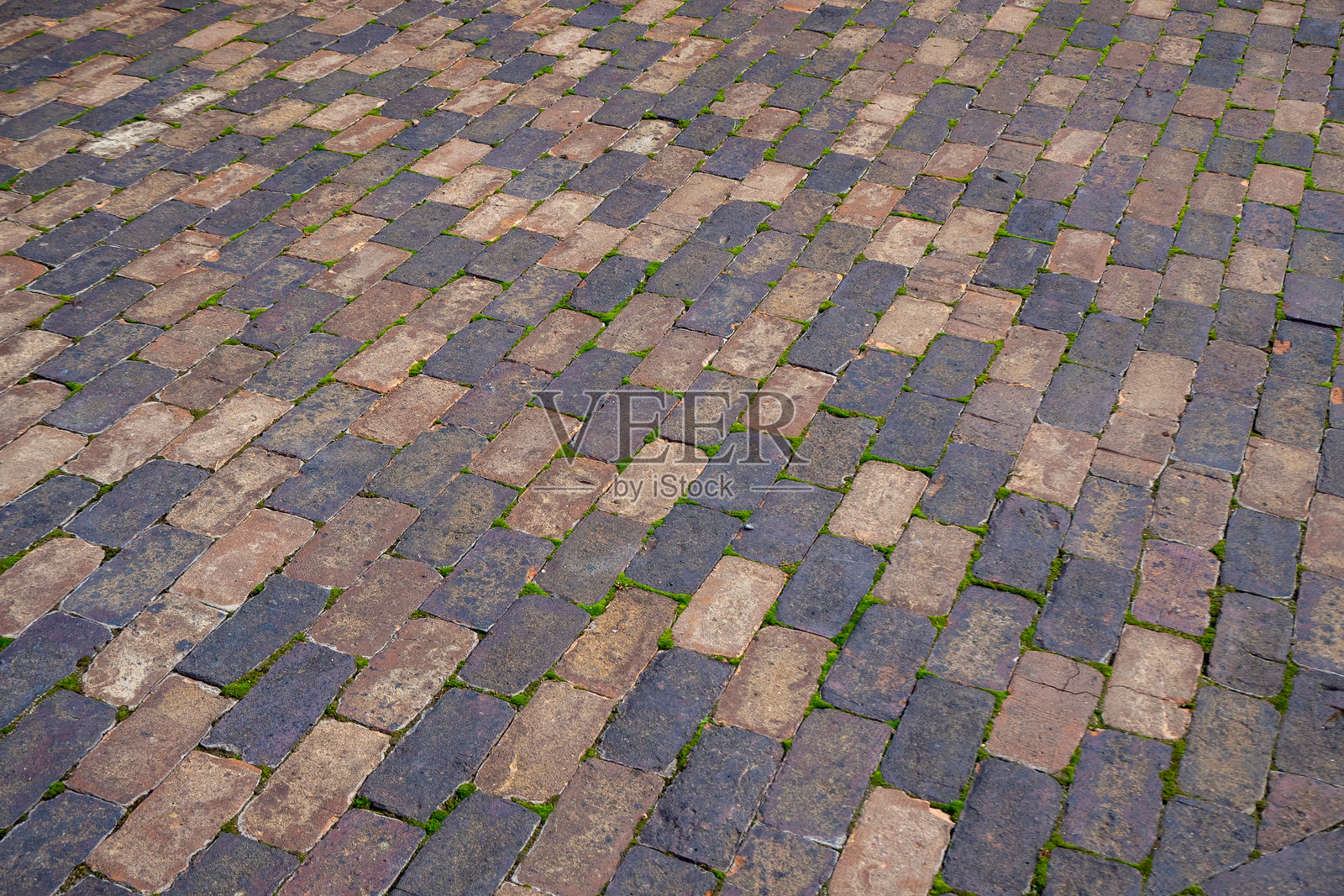长满苔藓的旧鹅卵石路面,石头缝隙间有风化的砖块。真实照片。照片摄影图片