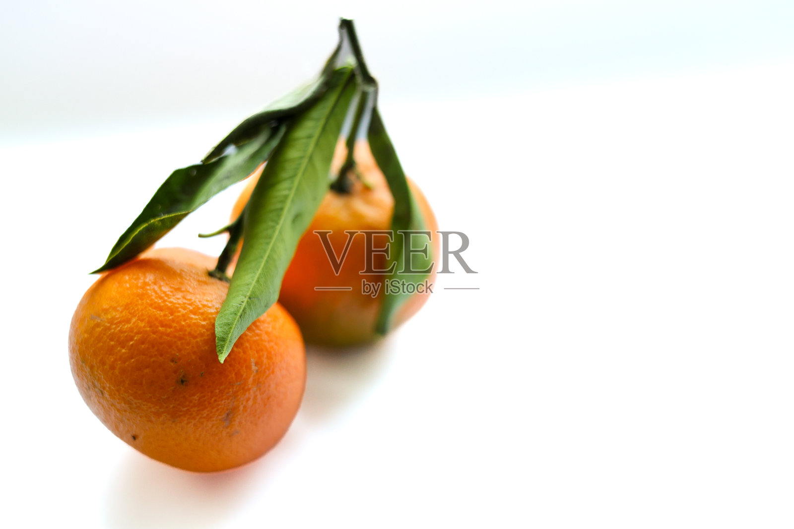 白色背景上新鲜的橘子照片摄影图片