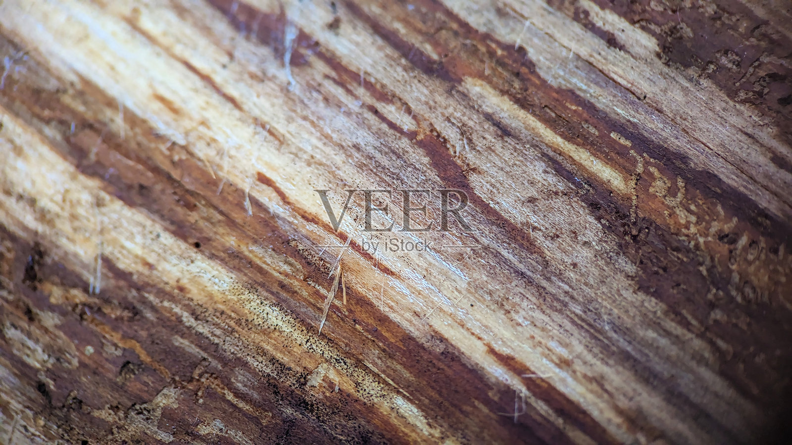 陈旧的天然木材表面纹理的详细宏观纹理照片摄影图片