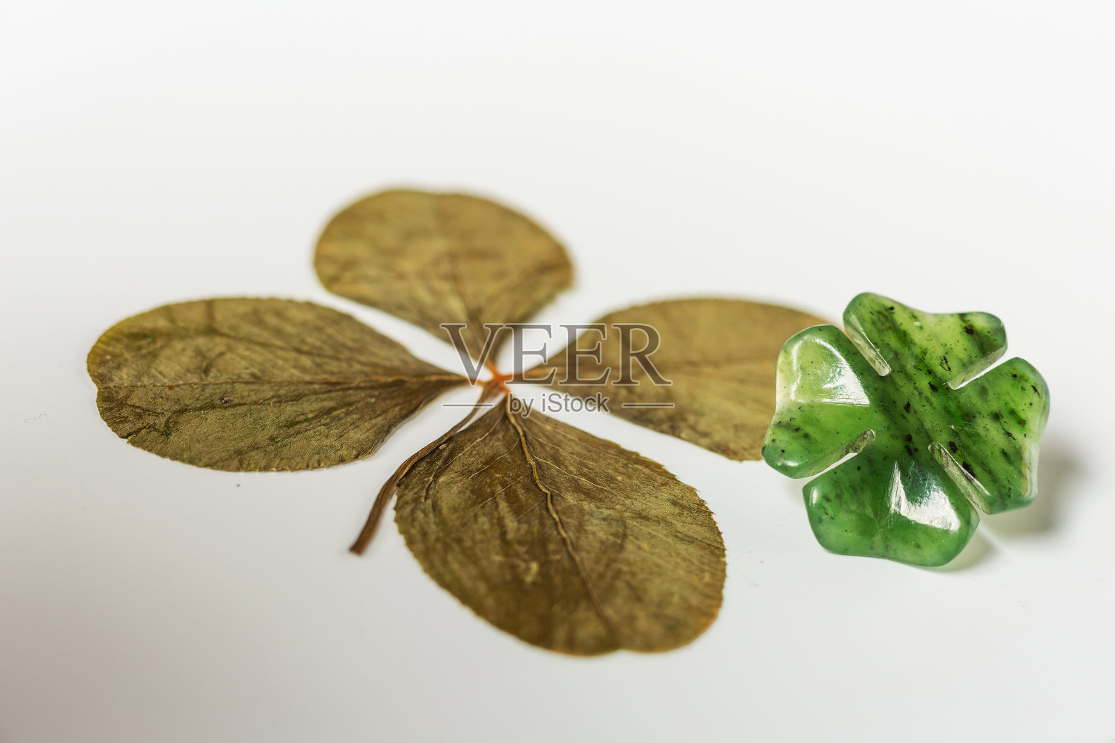 四叶草在背景上的细节照片摄影图片
