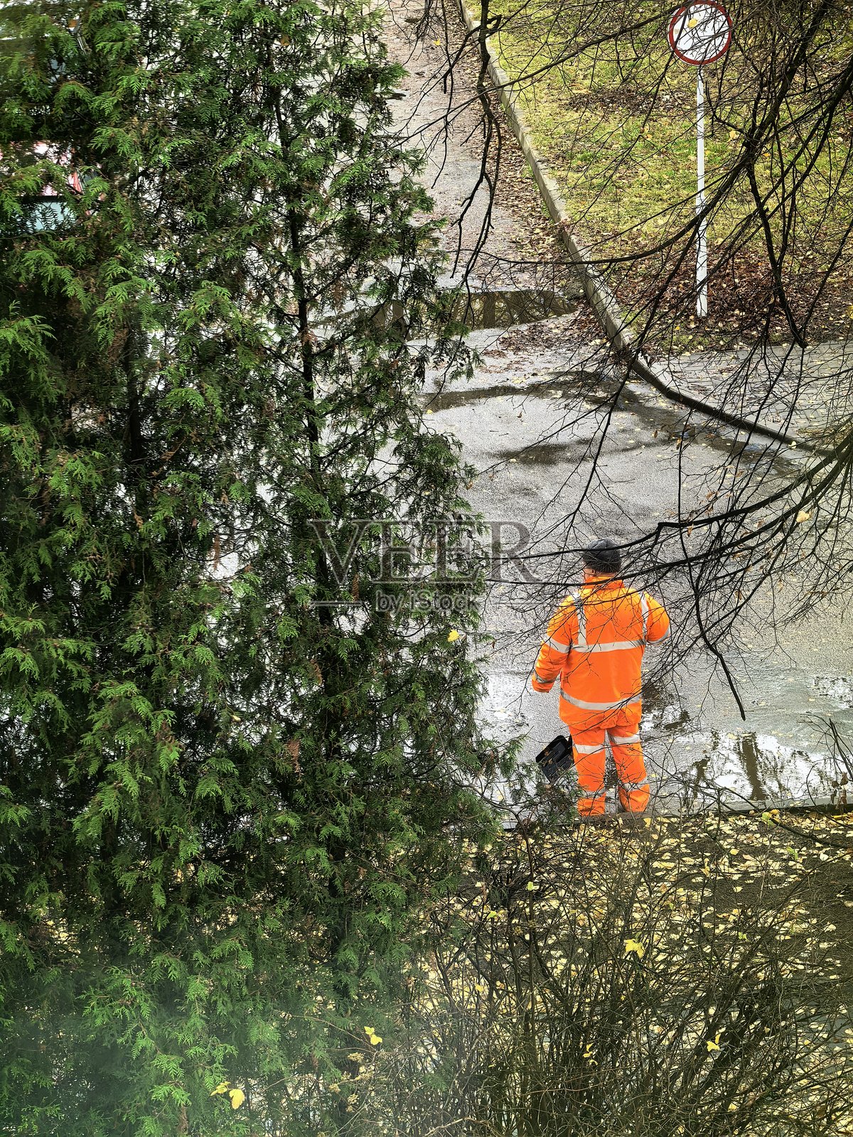 窗户上的鸽子,鸽子在看清洁工,清洁工穿着橙色制服,窗外,落叶清理,鸽子特写,窗户上的鸟,窗外有趣的景象,清洁工在工作,橙色制服的工人,橙色制服照片摄影图片