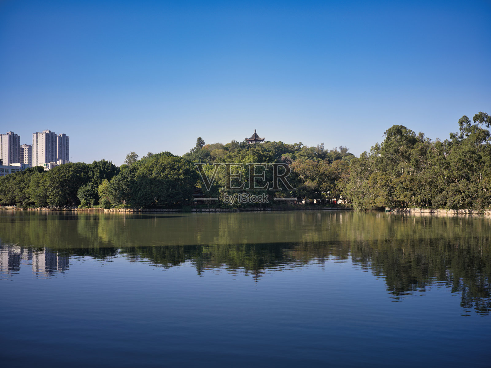 湖畔树木与城市建筑的美丽风景照片摄影图片