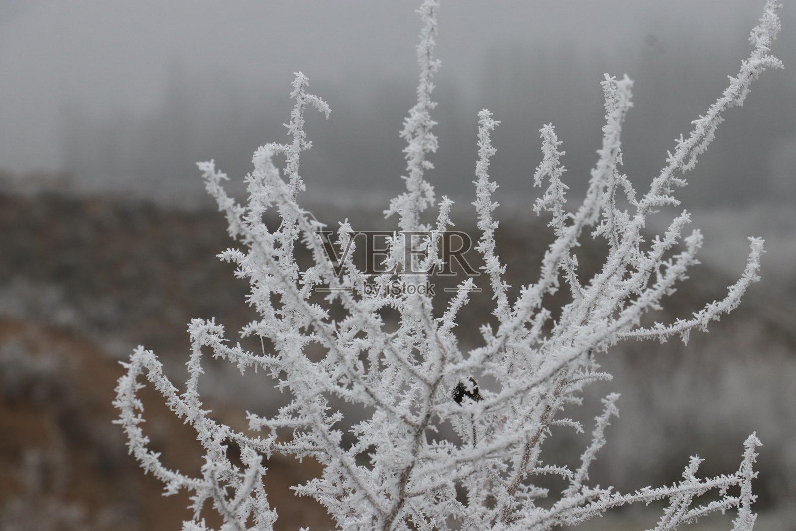 迪亚巴克尔的冬天照片摄影图片