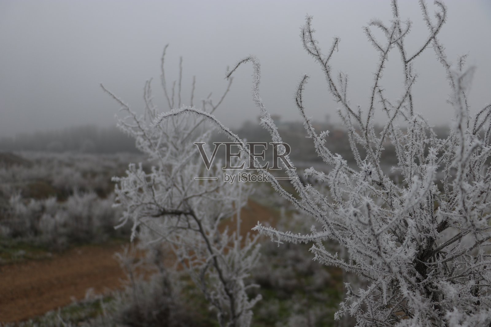 迪亚巴克尔的冬天照片摄影图片