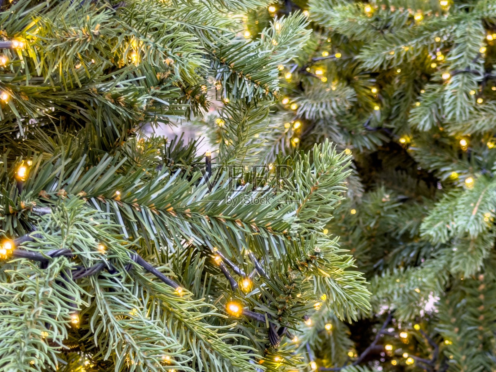 圣诞树针的特写,温暖的灯光柔和地闪耀,营造出节日温馨的氛围照片摄影图片