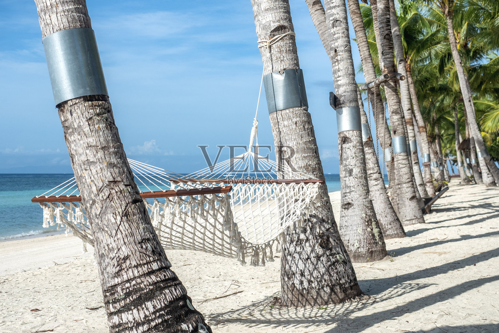 空旷的海滩和棕榈树的壮丽景色照片摄影图片