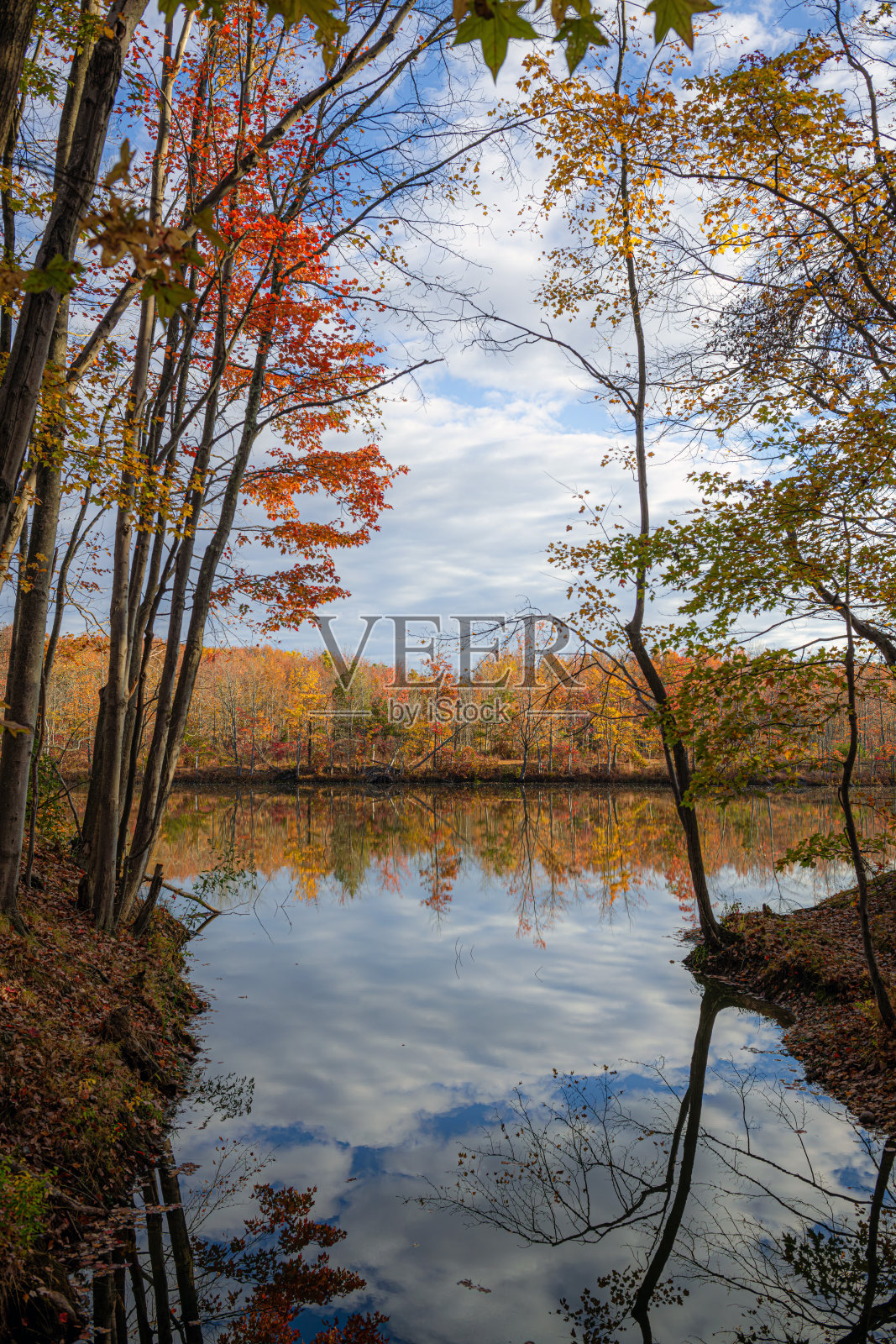 秋季湖泊景观照片摄影图片