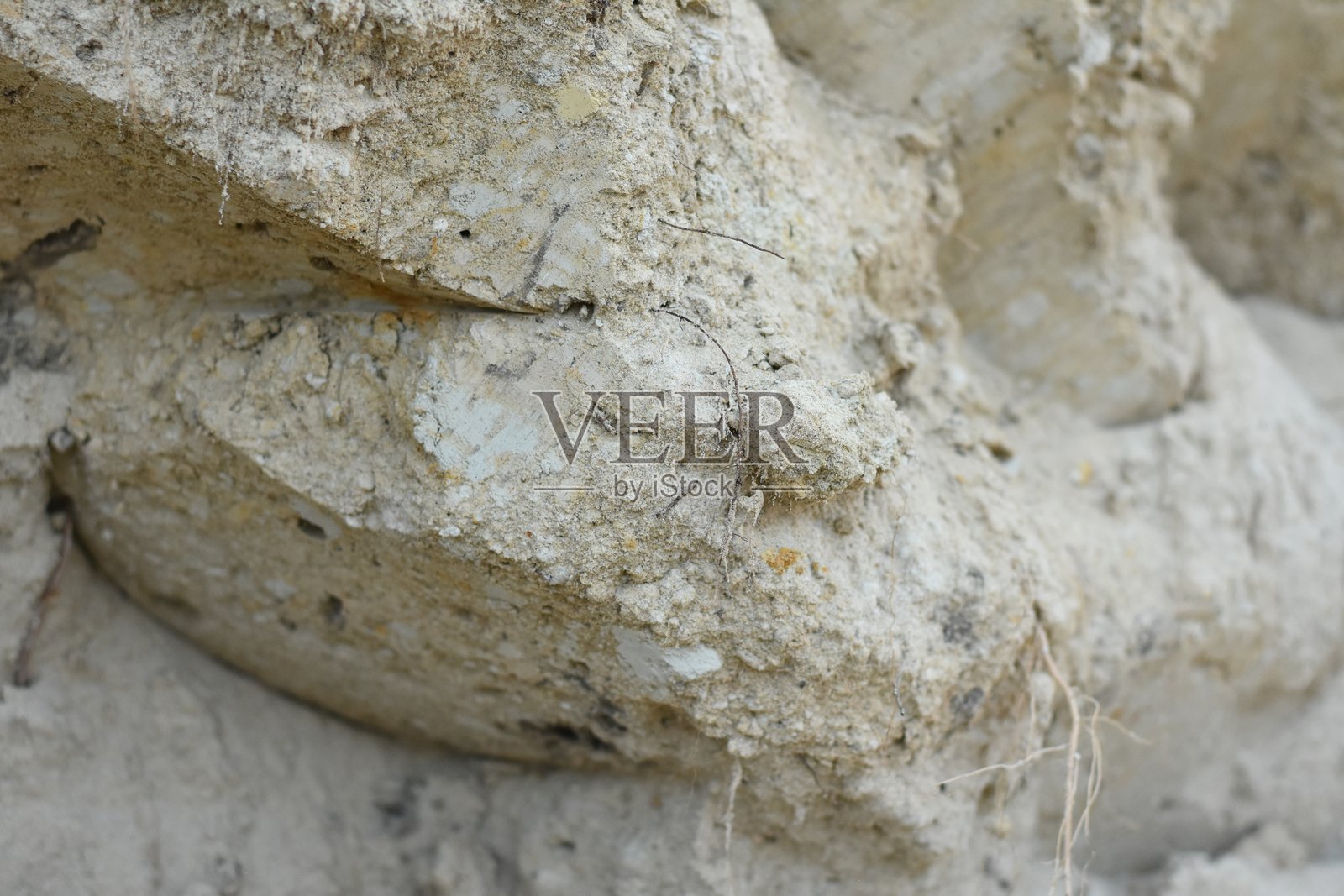 不平整的沙地表面有树根照片摄影图片