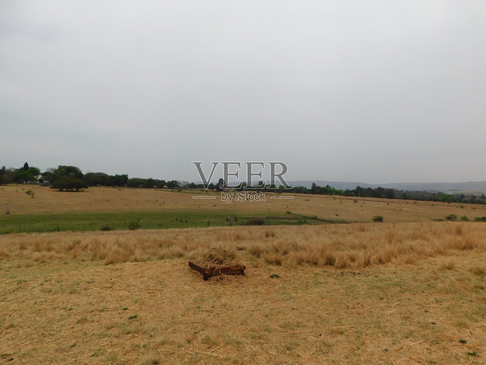 冬季草原风光摄影,金色草地在厚重阴沉的暴风雨天空下照片摄影图片