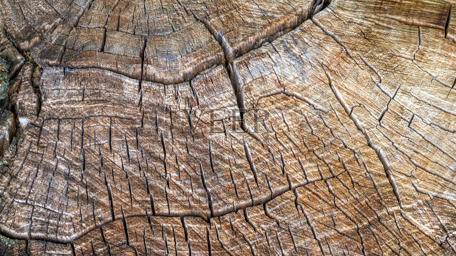 近距离观察带有自然裂纹和年轮的木材纹理照片摄影图片