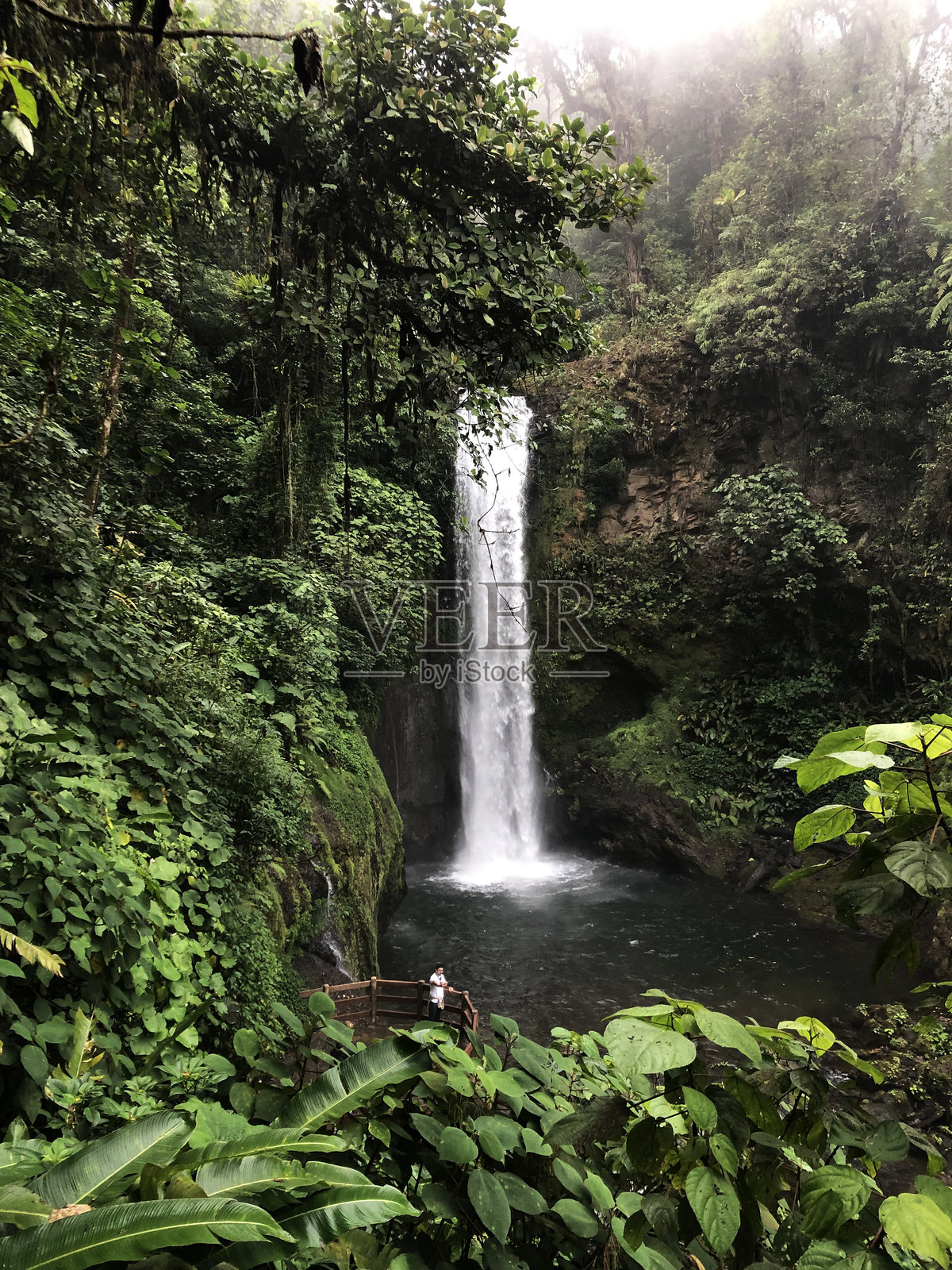 哥斯达黎加瀑布照片摄影图片