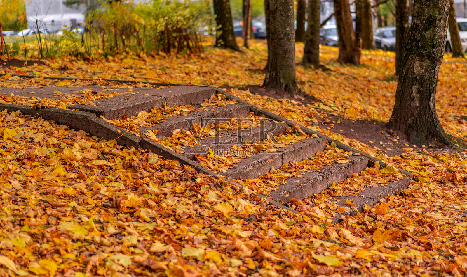 秋天的落叶覆盖着公园里的石阶照片摄影图片
