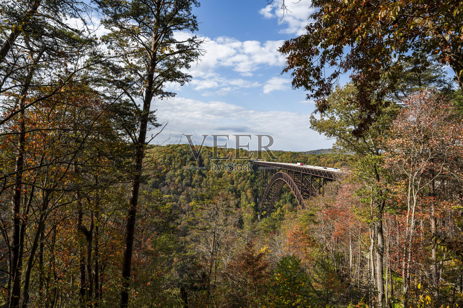 新河大桥国家公园照片摄影图片