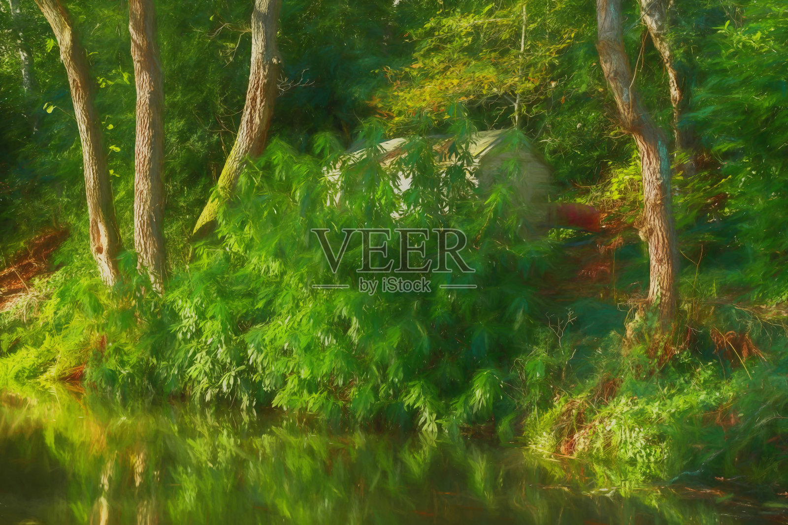 秋日阳光倒影与林地风光,摄于考尔登运河的利克支流。照片摄影图片