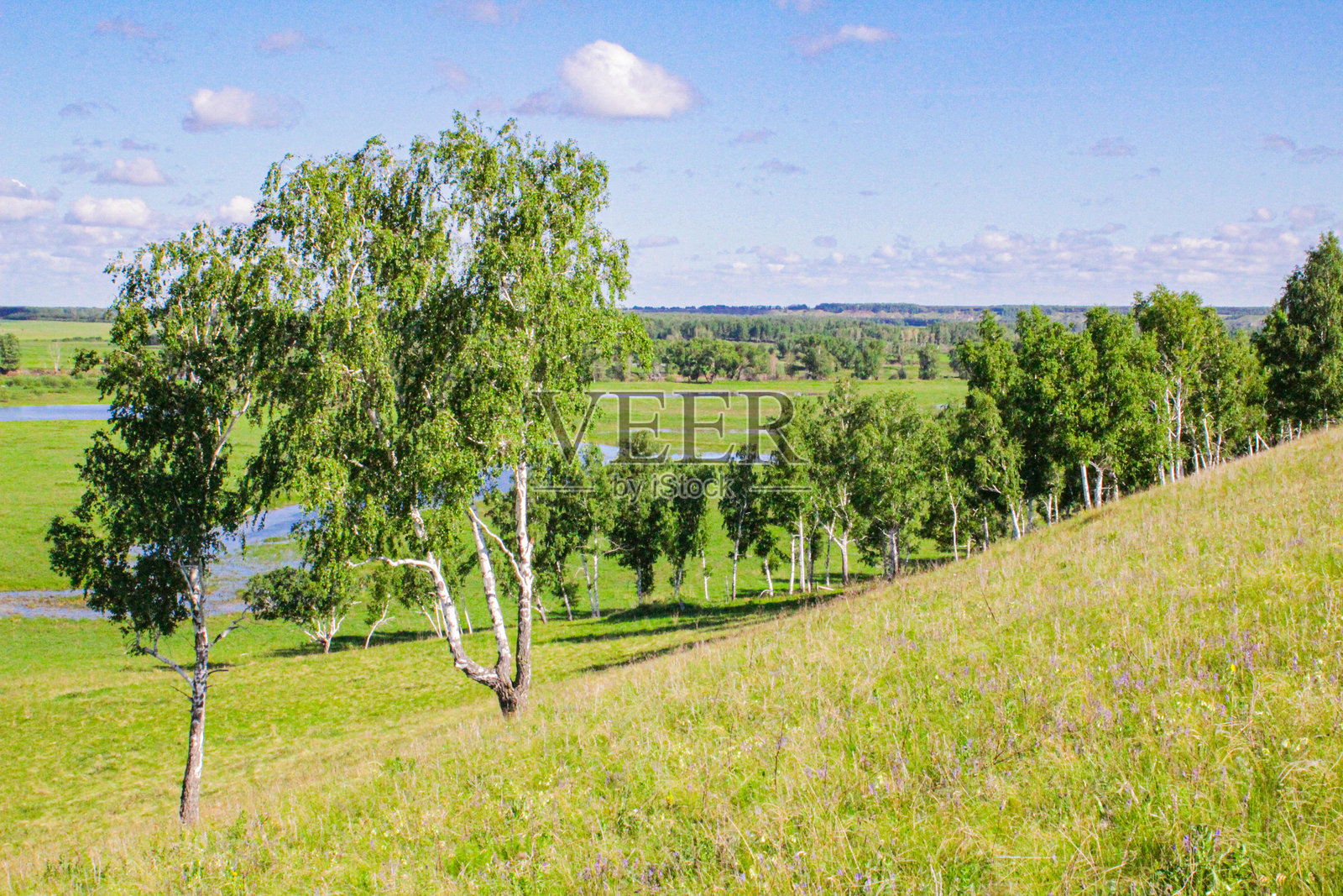 绿色的田野,绿色的春草,绿色的山谷,以及远处风景如画的彩色多云日落和山丘照片摄影图片