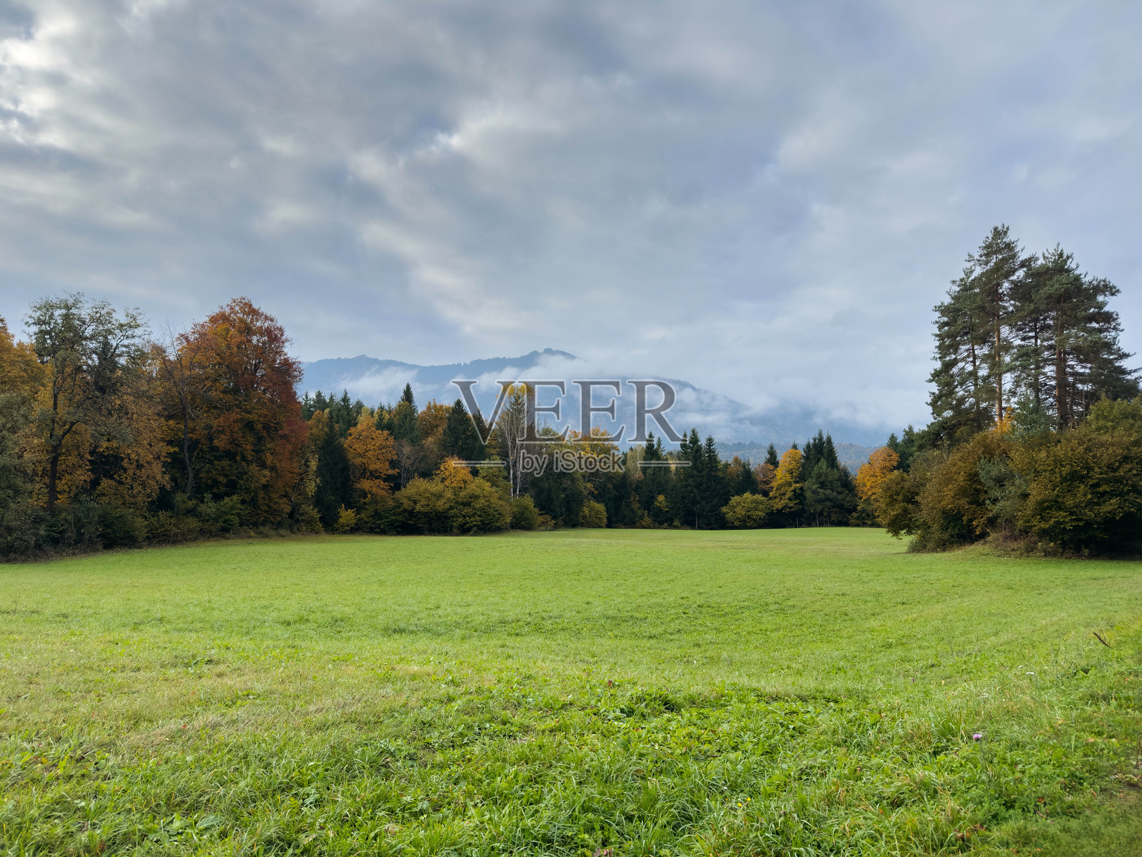 风景如画的秋季景象,有朦胧的山峦和葱郁的草地照片摄影图片