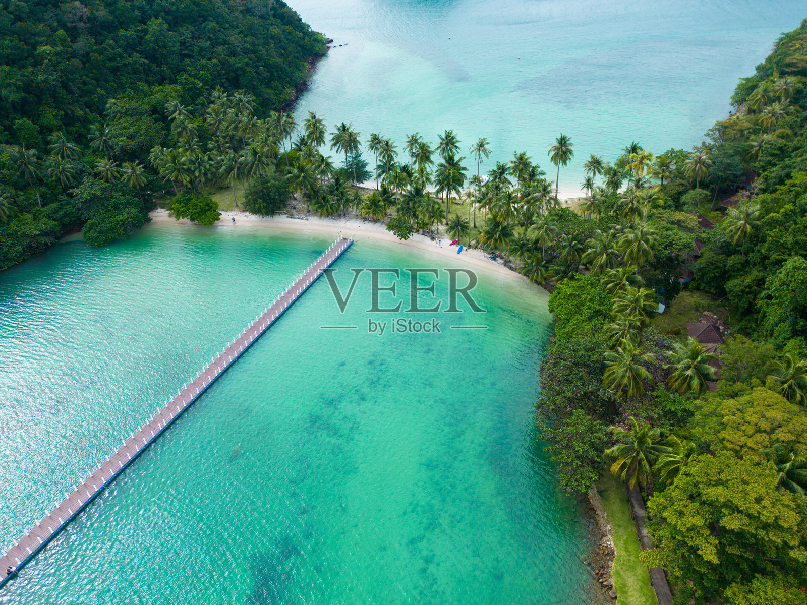 热带海滩雨林岛屿宁静,碧绿海水,椰子棕榈树,俯视视角。照片摄影图片