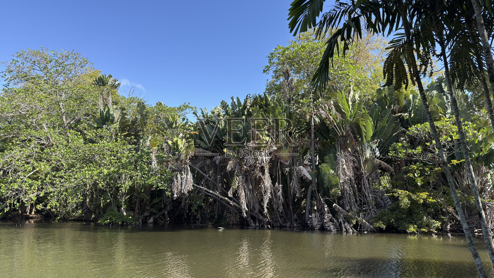 海照片摄影图片