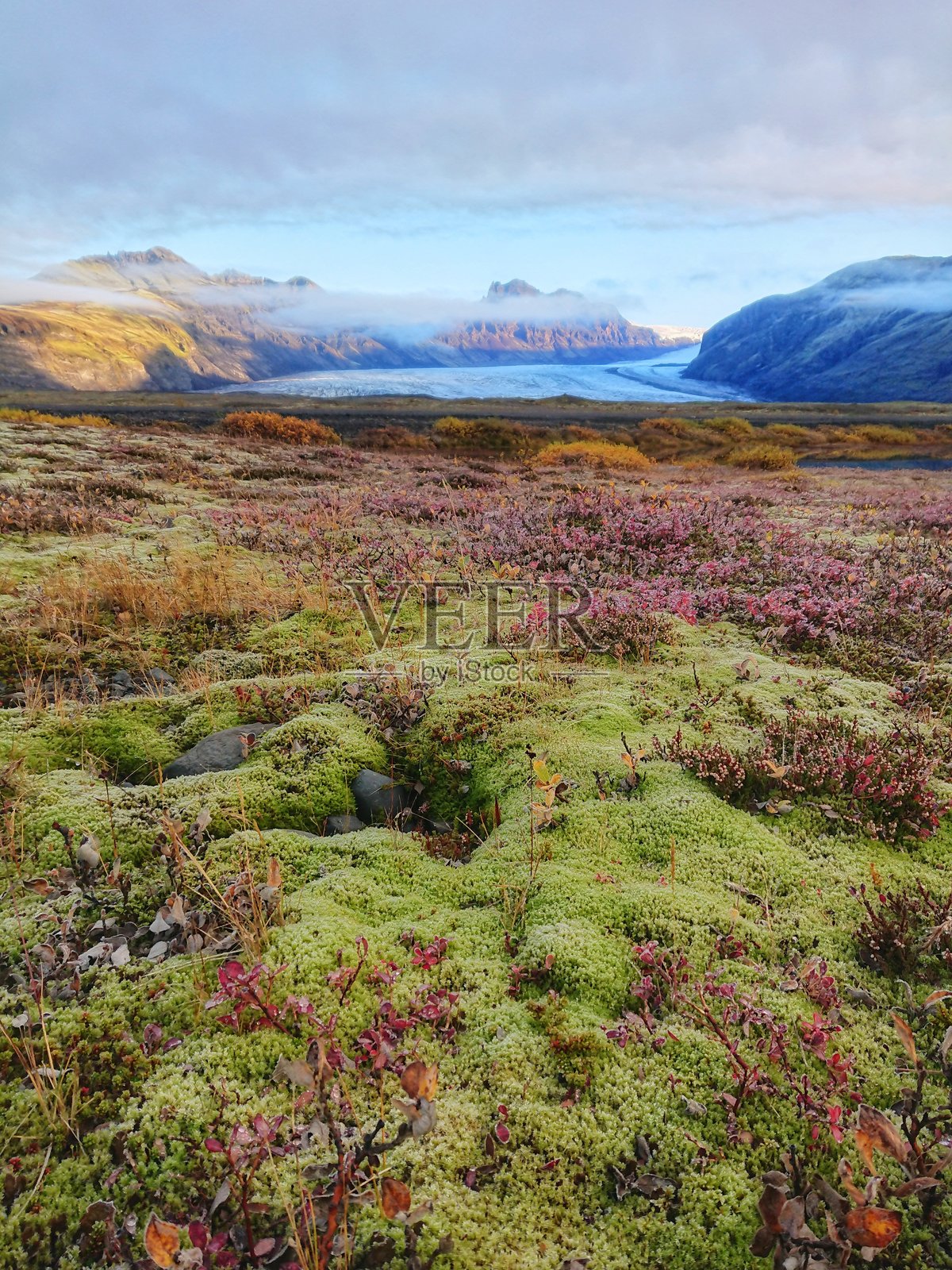 冰岛苔藓覆盖的景观,有冰川和山脉照片摄影图片