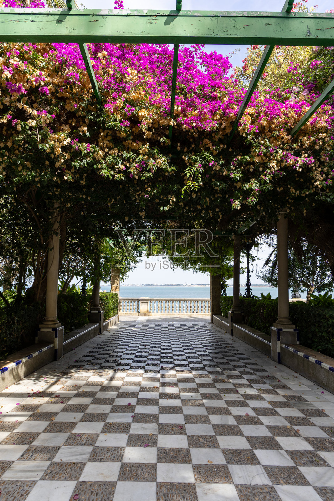 西班牙安达卢西亚加的斯省热诺夫斯植物园内,海边的美丽自然公园,园中的观赏池塘照片摄影图片