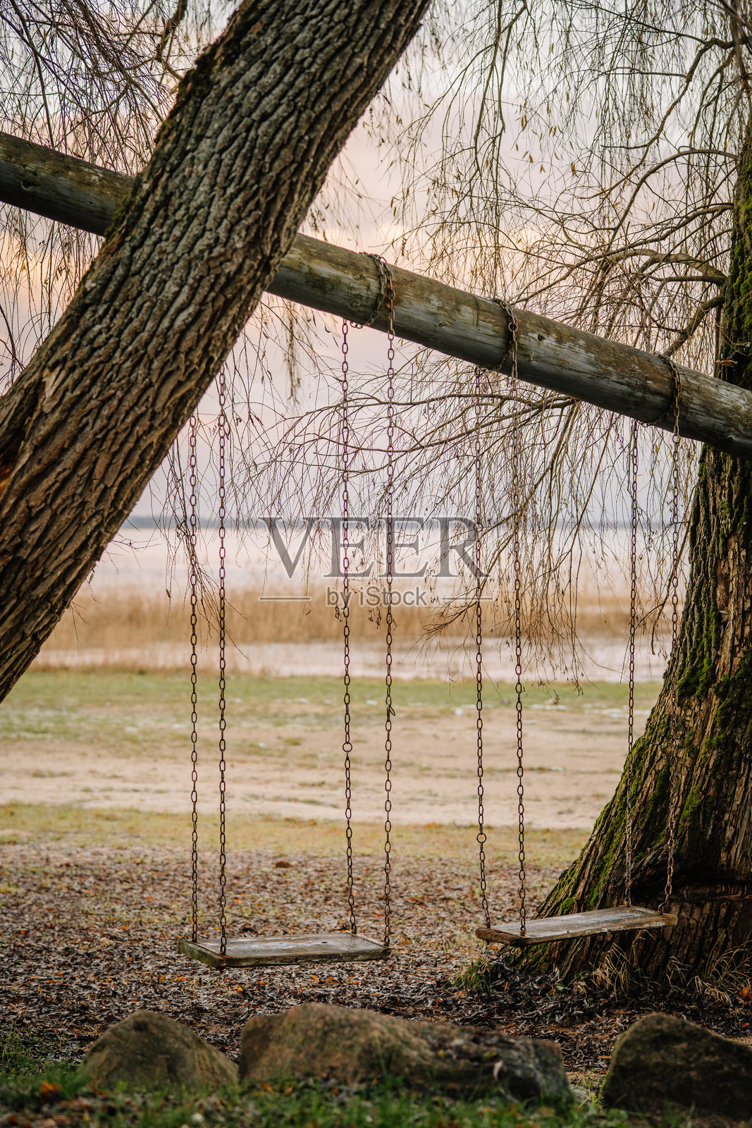 挂在树枝上的木质秋千,周围环绕着宁静的自然风光,营造出平和的氛围,邀请孩子们和家庭前来户外玩耍。照片摄影图片