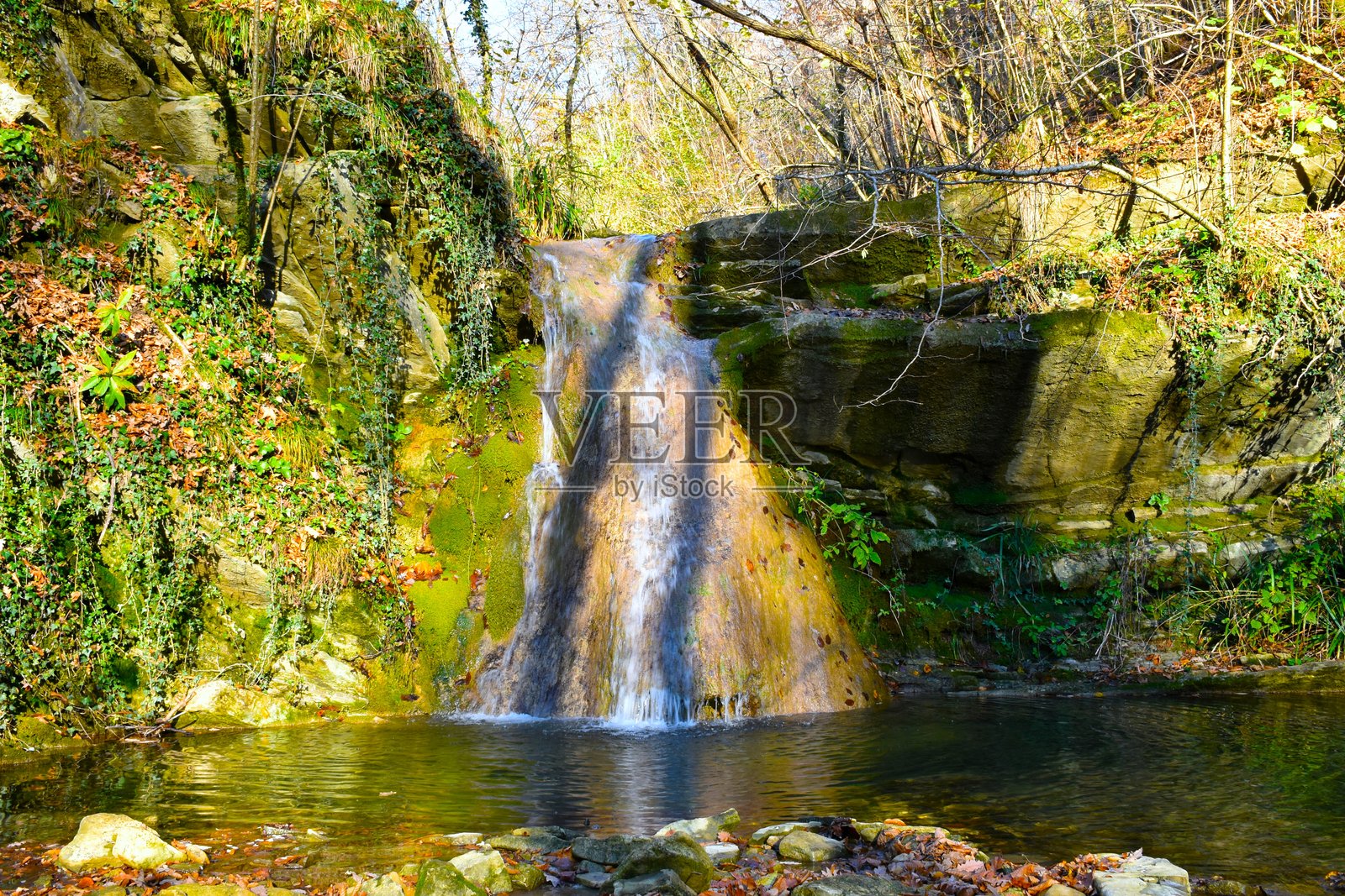 水流入斯洛文尼亚滨海区Tigrovska小径的池塘中照片摄影图片