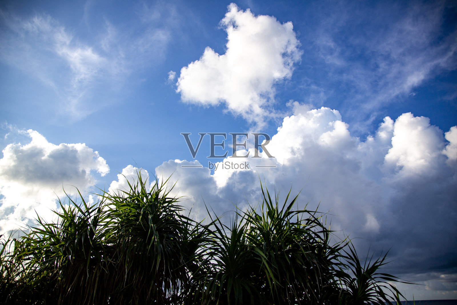 创意 奄美大岛 日本 自然 夏日 云彩照片摄影图片