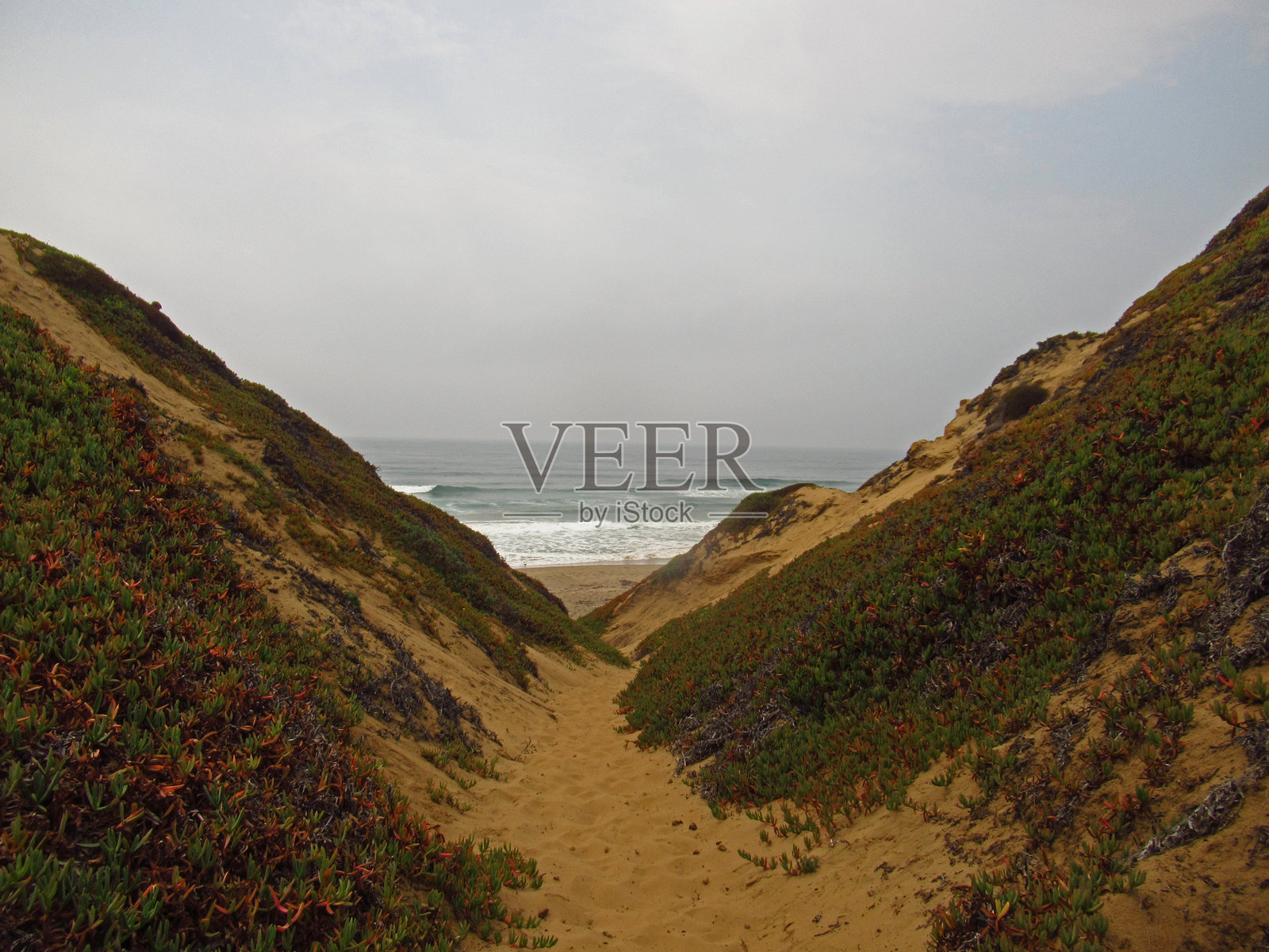 沙丘之间的小路通往大海照片摄影图片