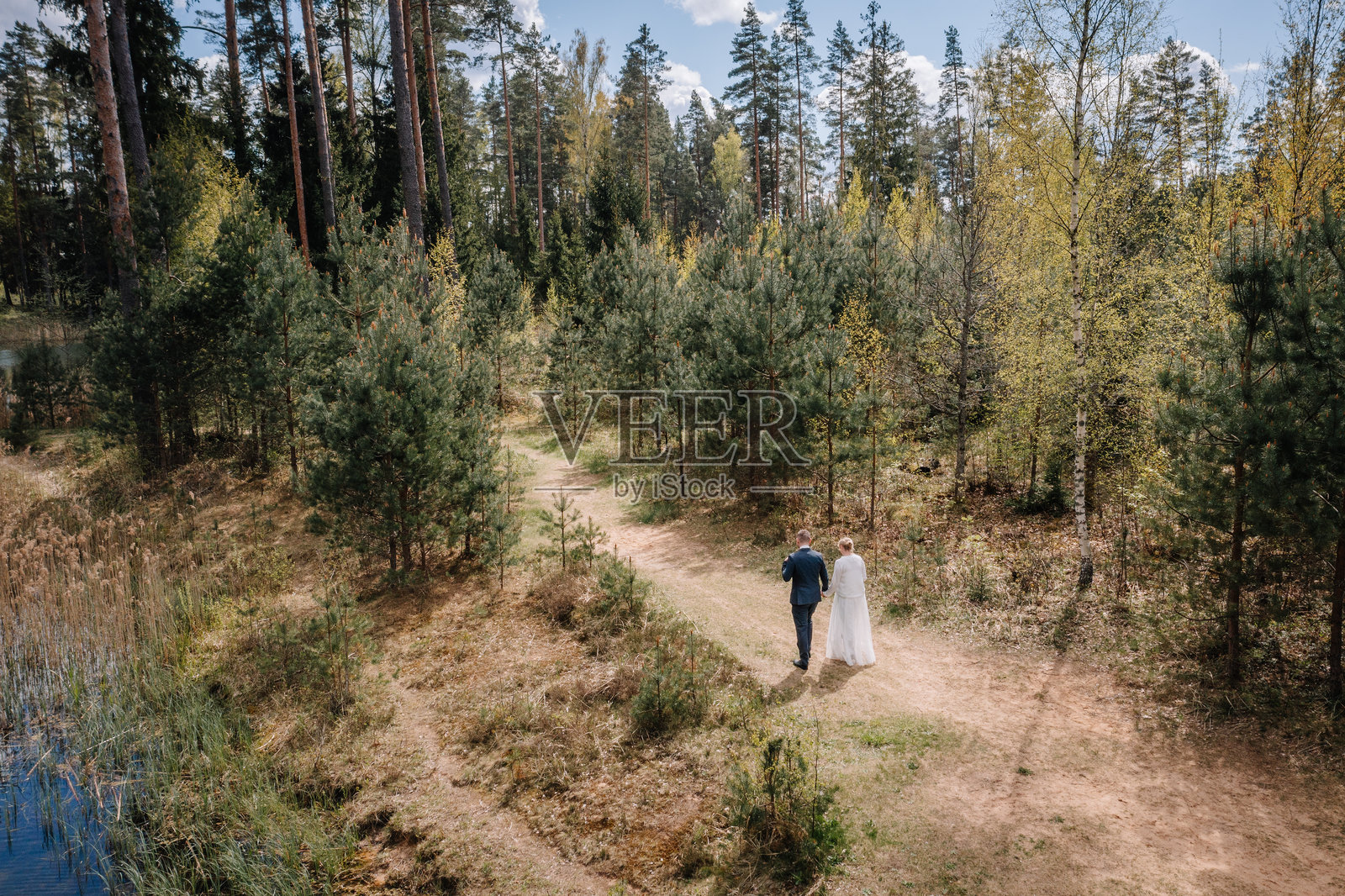 一对情侣手牵手漫步在风景如画的森林小径上,周围绿意盎然,高大的树木环绕,在宁静的户外环境中,沐浴着自然之美,庆祝他们的爱情照片摄影图片