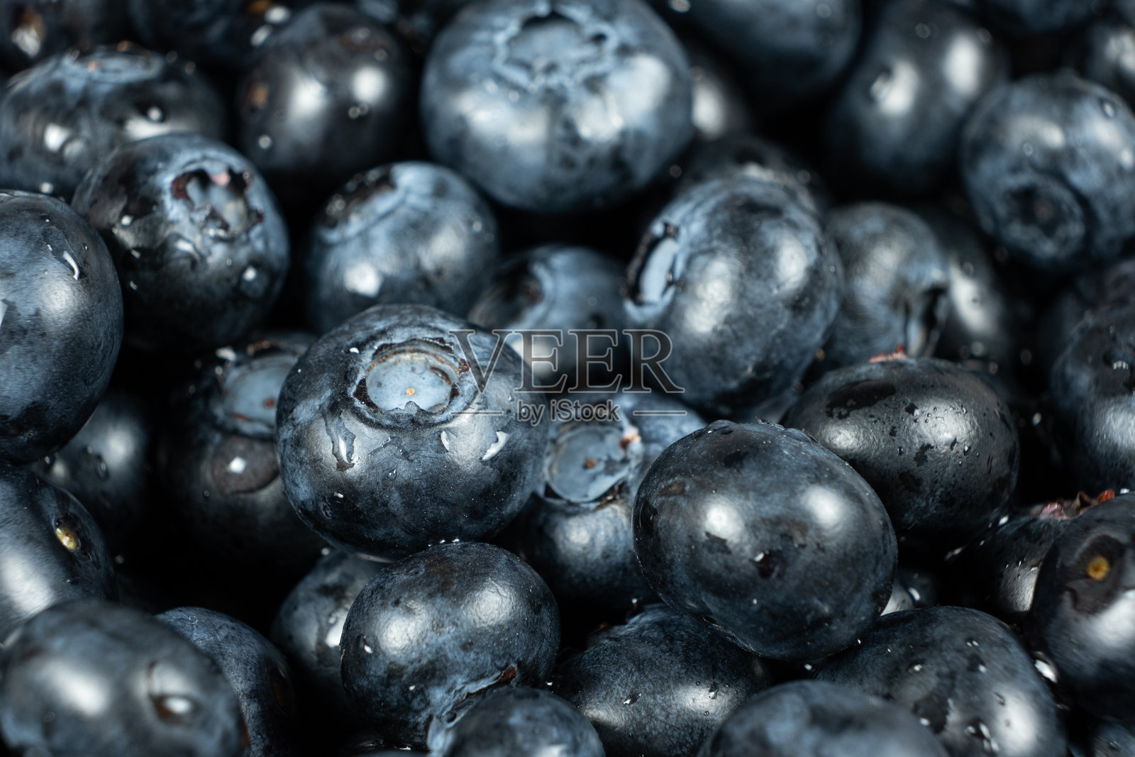 沾有水珠的新鲜蓝莓,浆果背景特写。照片摄影图片