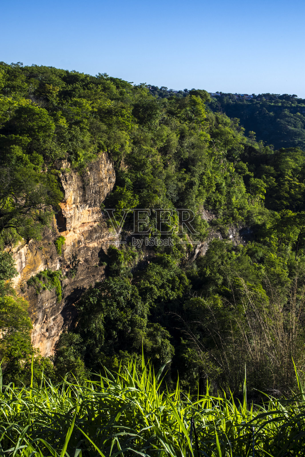 郁郁葱葱的山谷中令人惊叹的悬崖地貌照片摄影图片