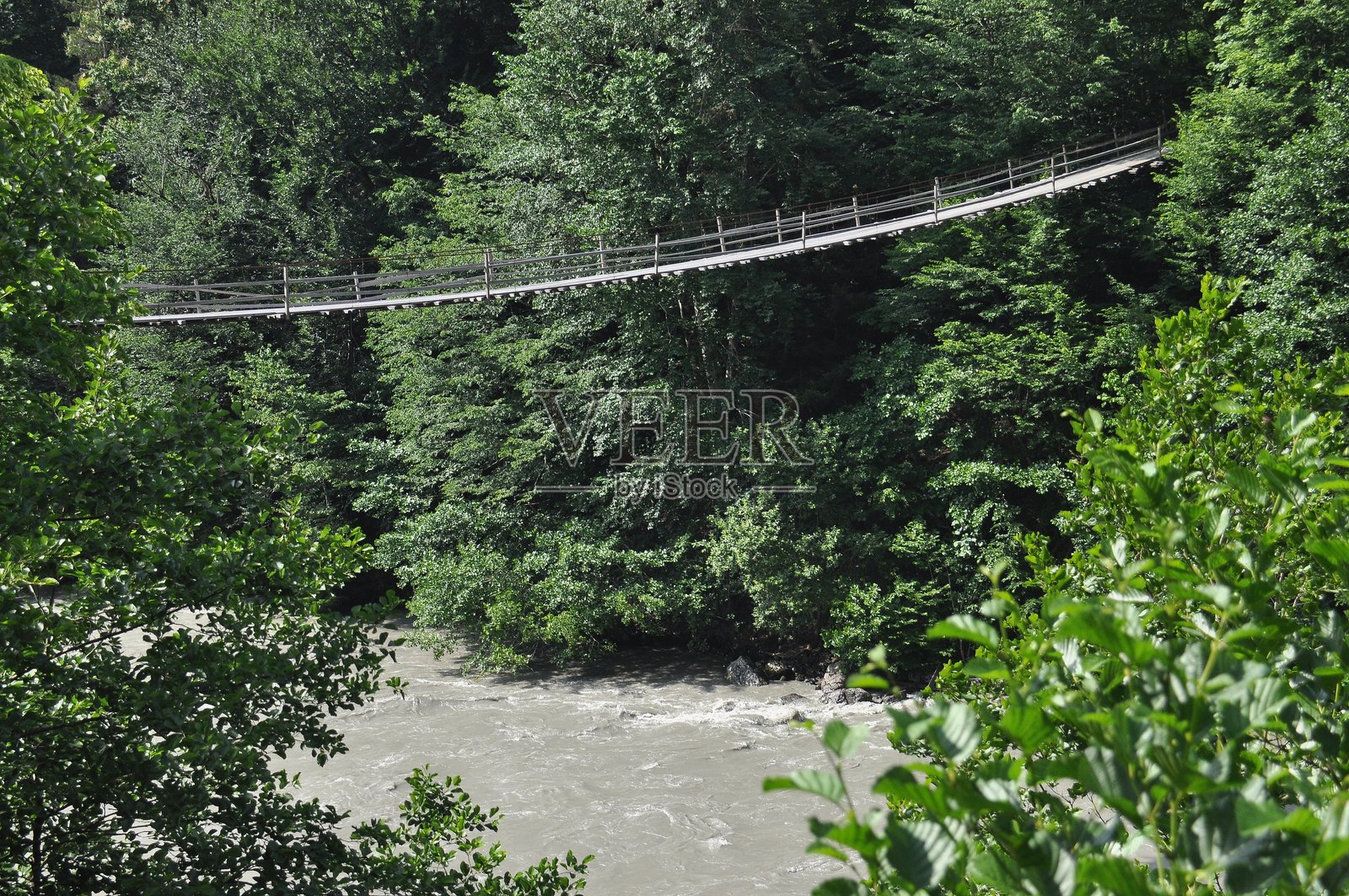 宁静的森林中,一座悬索桥横跨在绿意盎然的树林间,下方是湍急的河流。照片摄影图片