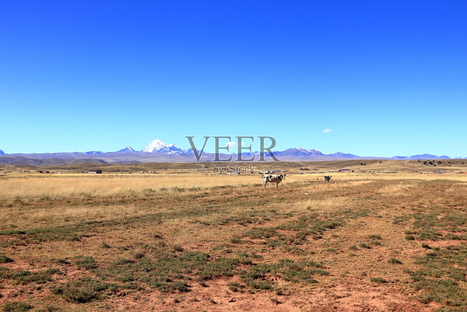 玻利维亚北部乡村风光与农业景观照片摄影图片