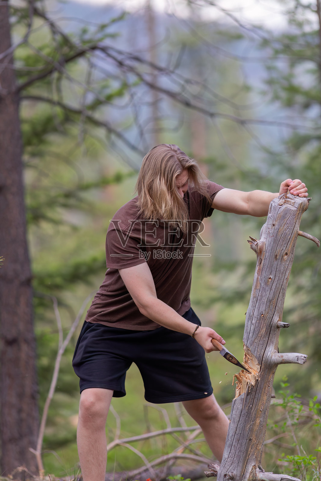 年轻男子在森林里用小斧头雕刻木头照片摄影图片