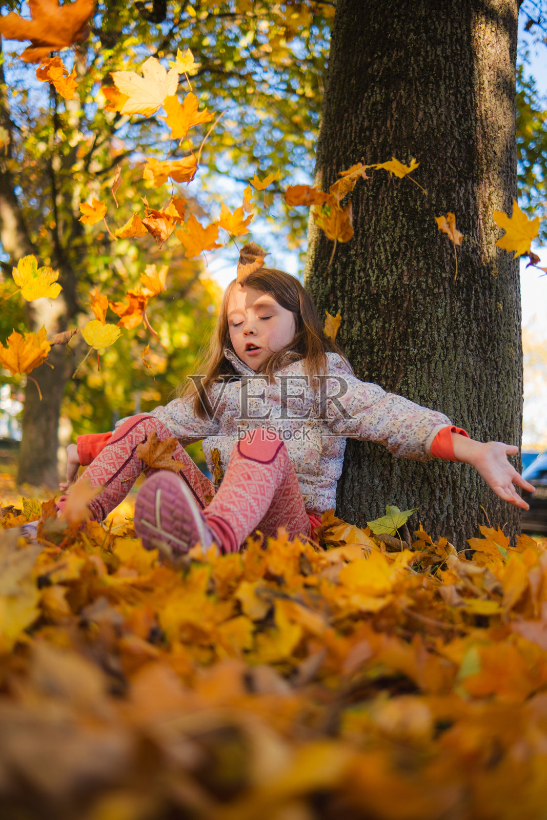 一个漂亮的白种小女孩穿着秋装,以秋景为背景摆姿势拍照照片摄影图片