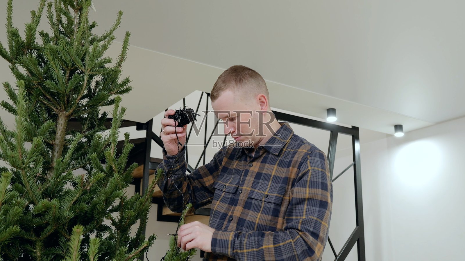 一位高加索男性站在装饰好的松树旁,在舒适的室内环境中,小心翼翼地整理着圣诞彩灯串,散发出节日的喜悦。照片摄影图片