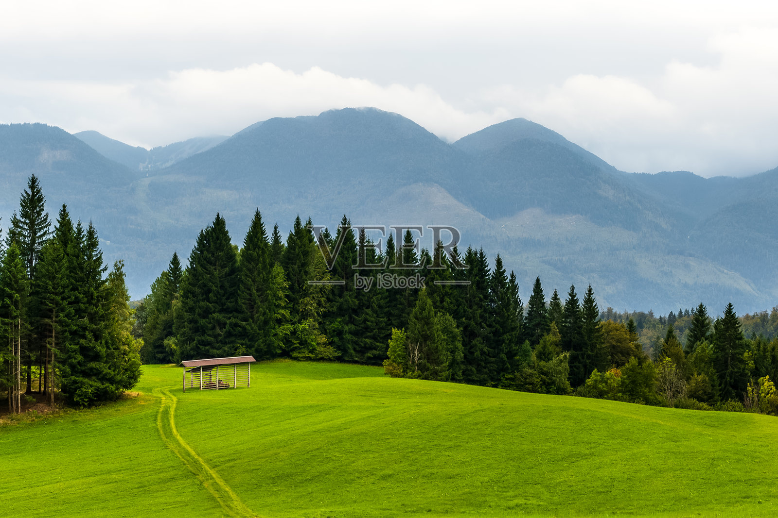 郁郁葱葱的绿色草地、森林丘陵和山脉组成的极简主义乡村景观。新鲜充满活力的绿色田野,四周环绕着松树林和山脉。阿尔卑斯乡村壁纸,带有复制空间。照片摄影图片