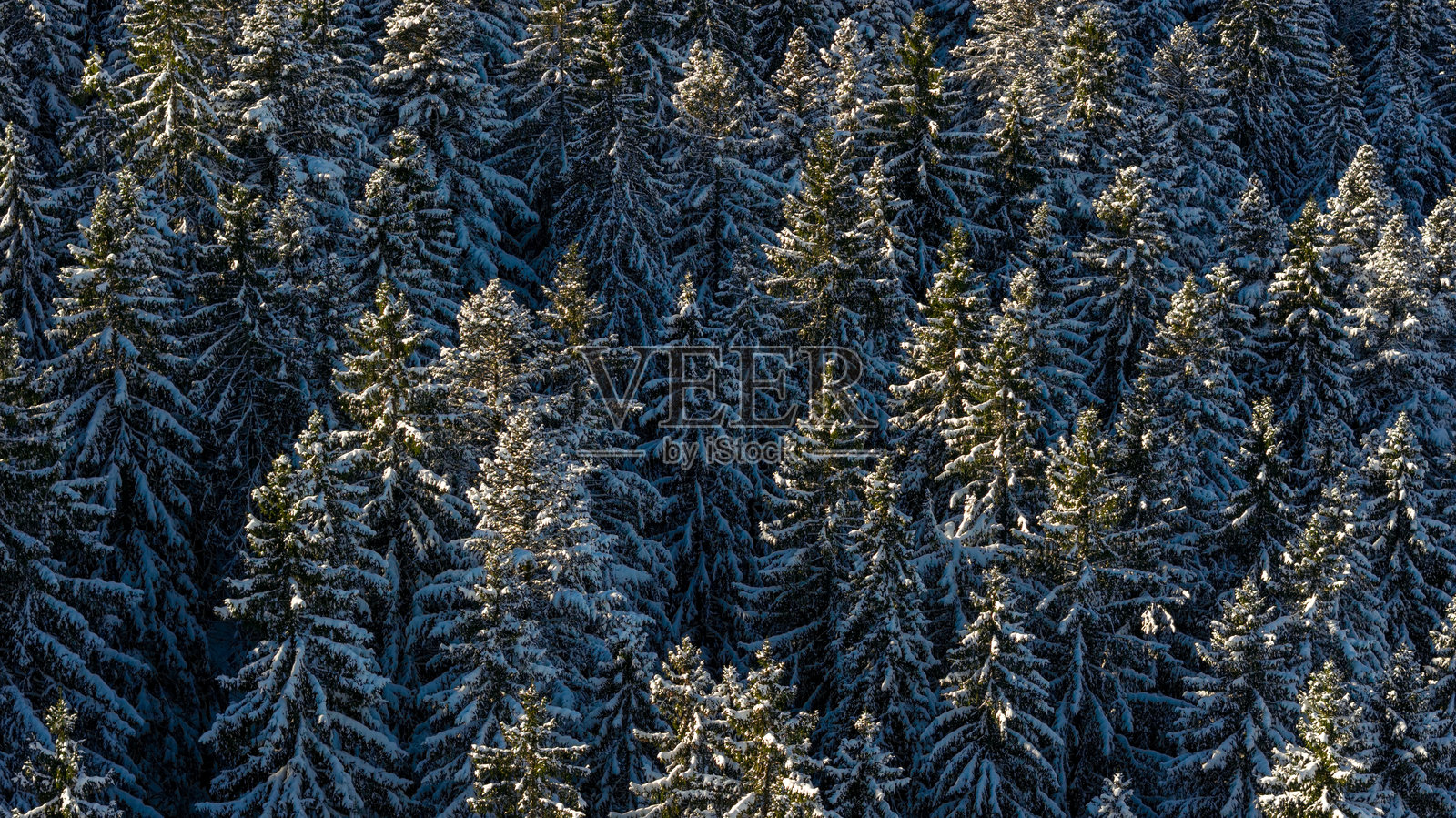 雪覆盖的黑森林山脉树木,无人机航拍视角照片摄影图片
