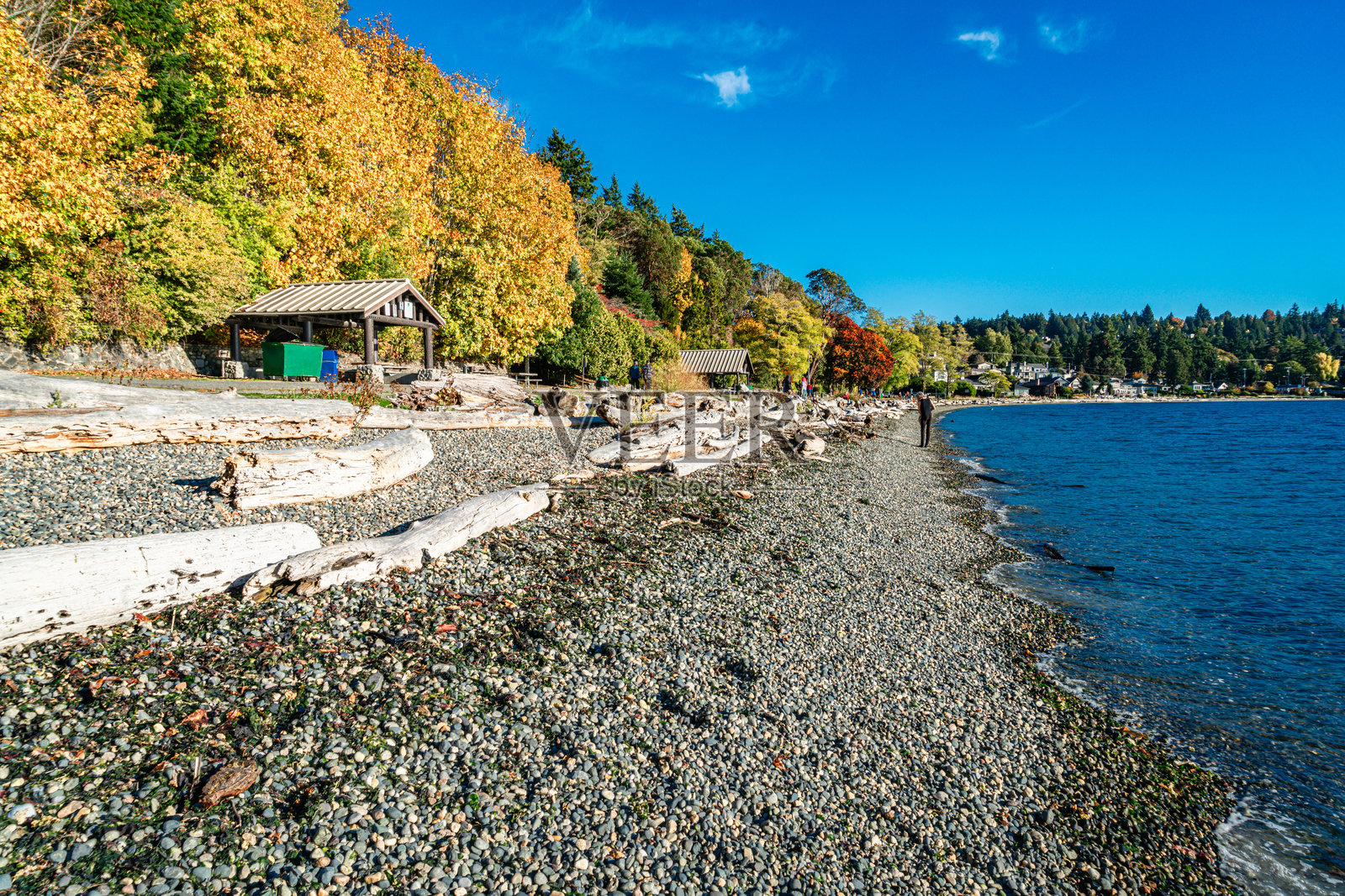 林肯公园秋日步道 10照片摄影图片