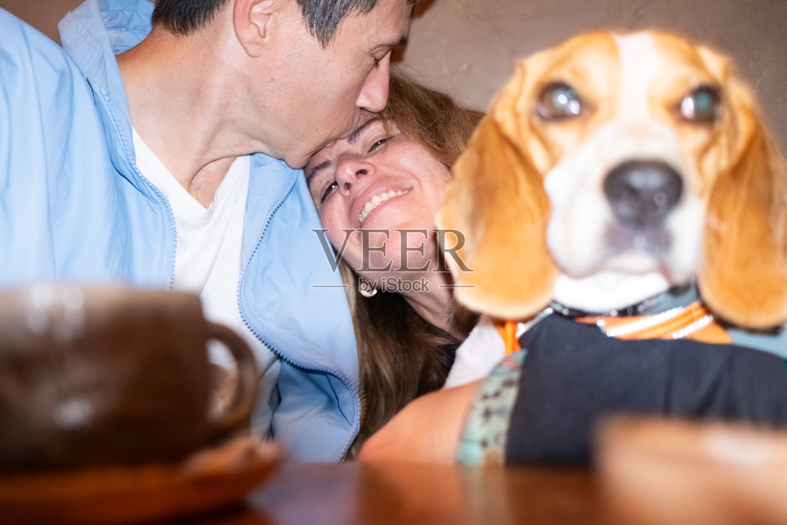 一对情侣与比格犬分享温馨时刻照片摄影图片