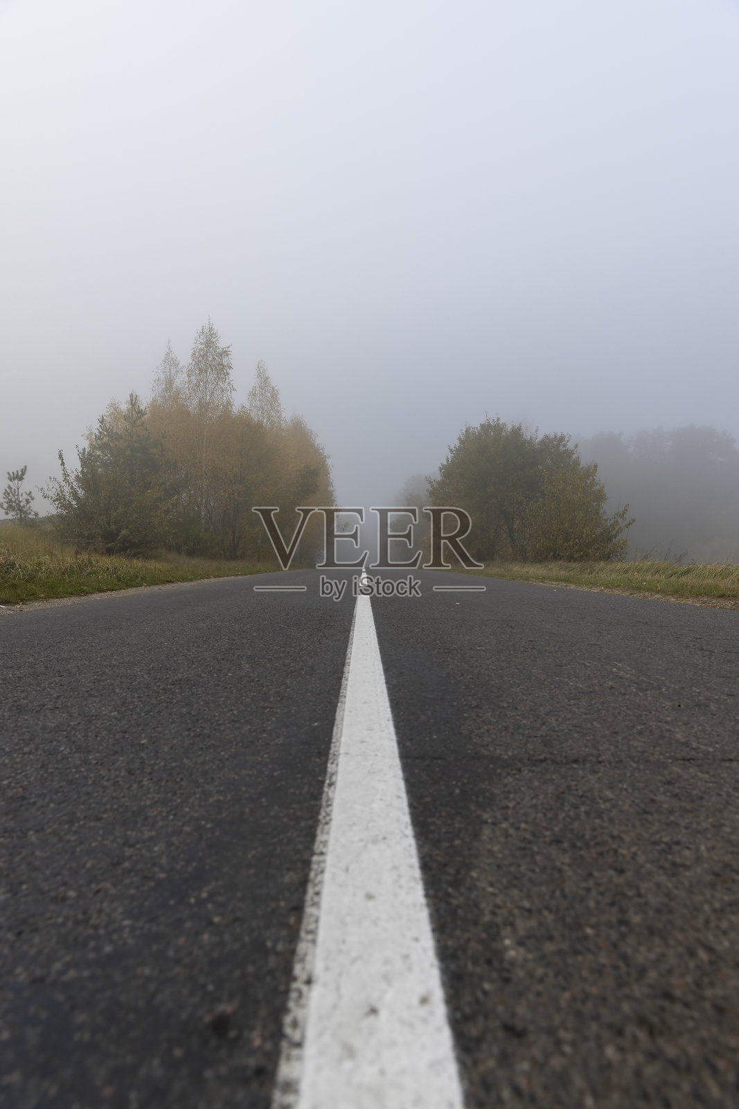 一条狭窄的乡村小路,路边是发黄的树木,天气阴沉,天空灰蒙蒙一片,早晨因气候变化而浓雾弥漫。照片摄影图片