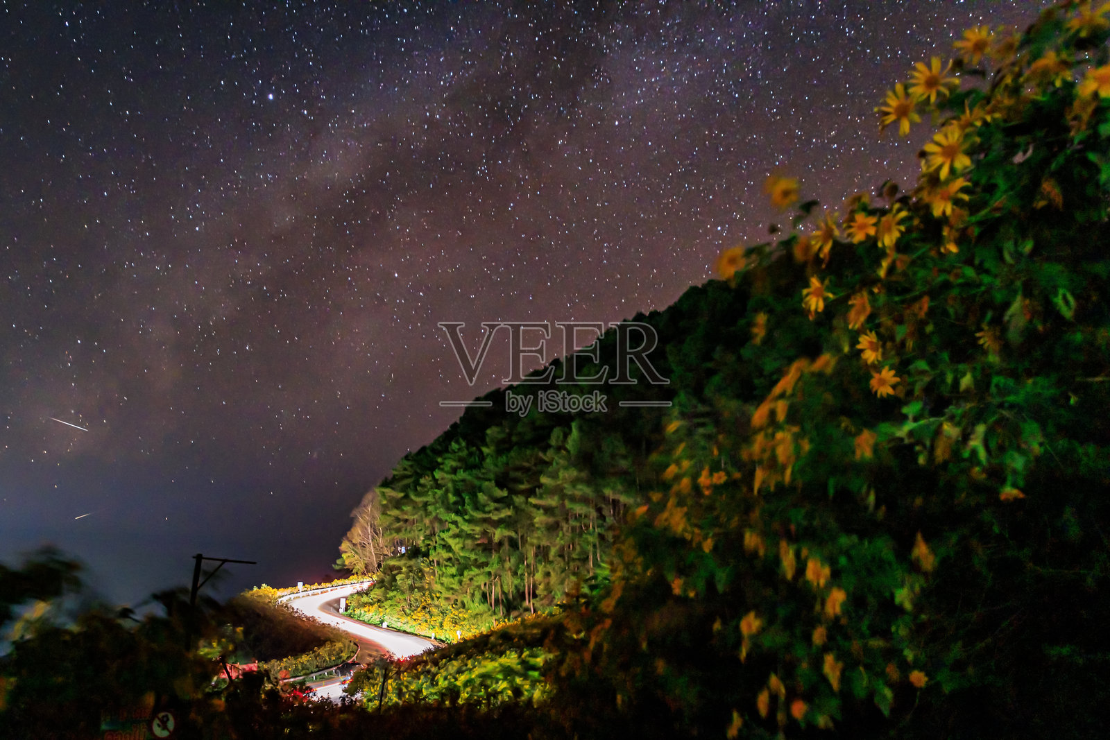 泰国湄宏顺府湄乌霍的墨西哥向日葵或树万寿菊花田上的星空照片摄影图片