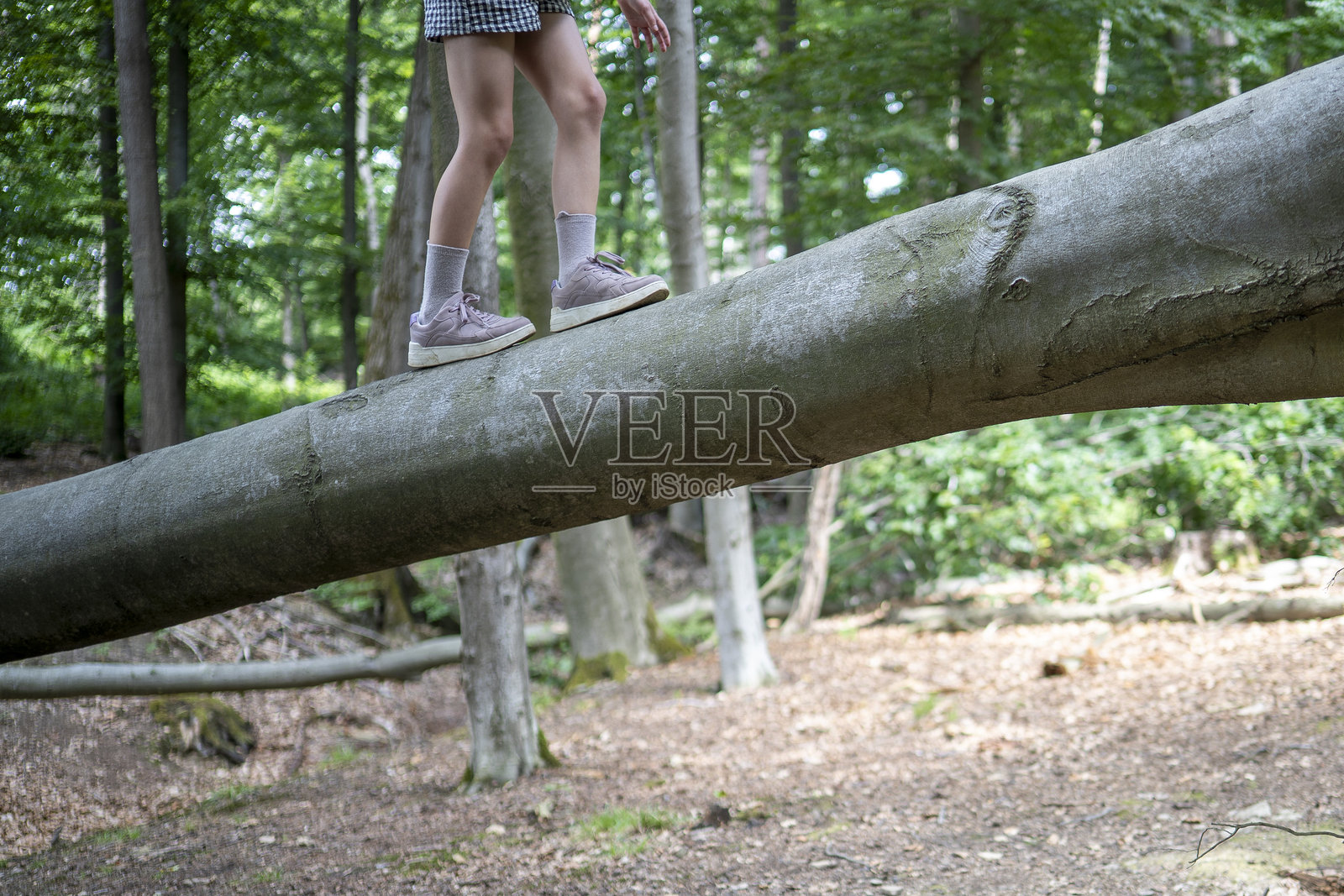 一双穿着运动鞋和袜子的孩子的小腿,在森林里小心翼翼地走在倒下的树干上,柔和的光线,可复制的空间。象征平衡、冒险和童年探索。照片摄影图片