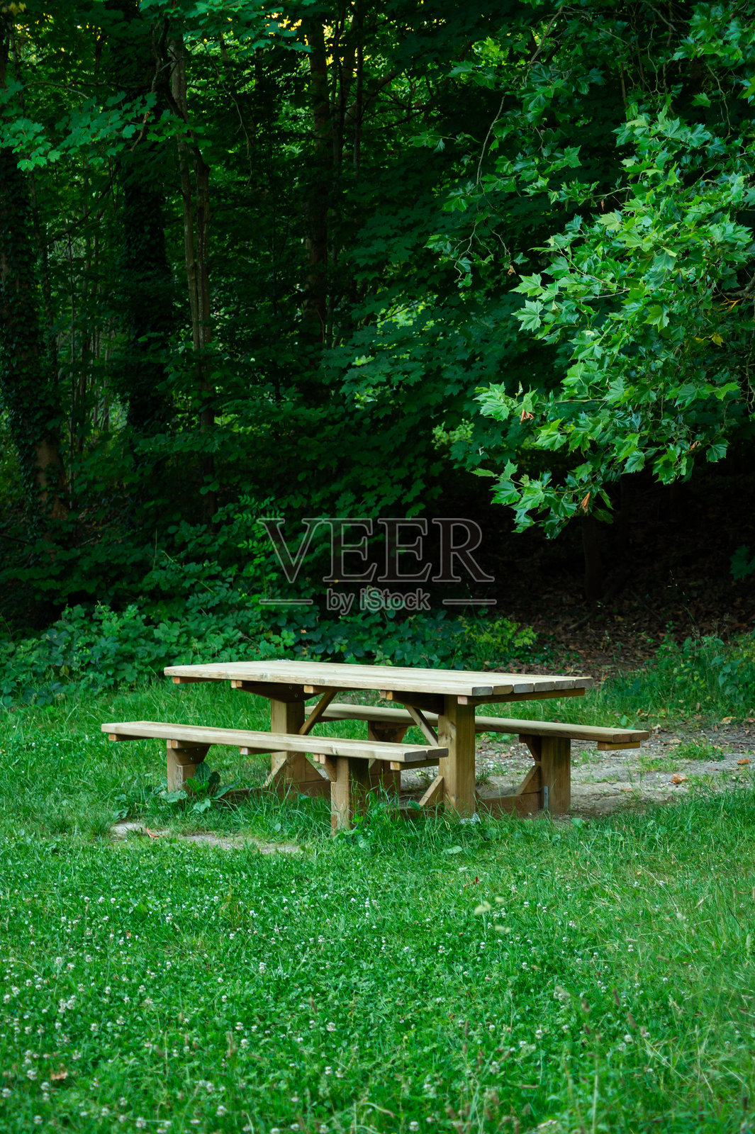 森林里的木制野餐桌和长椅照片摄影图片