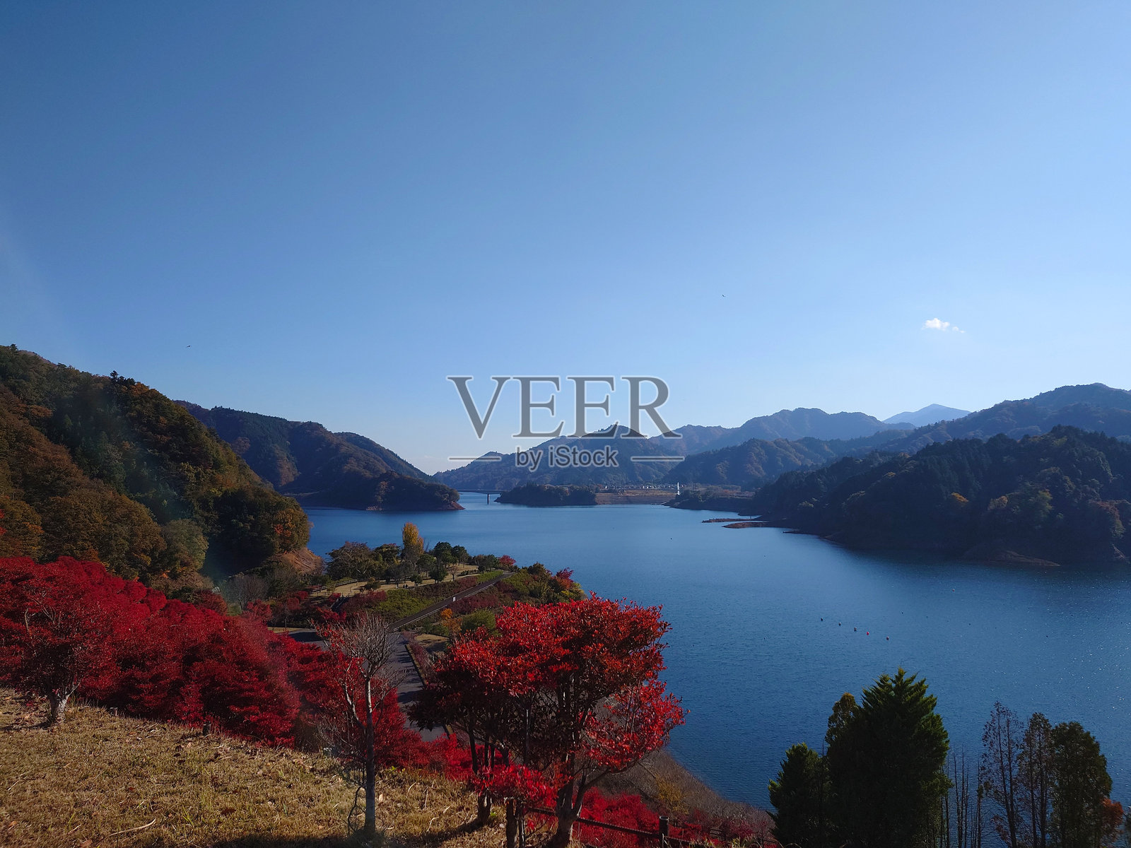 日本的秋叶与湖泊照片摄影图片