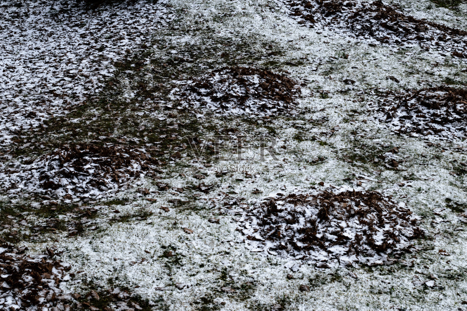雪覆盖的落叶堆散落在寒冷的草地上照片摄影图片