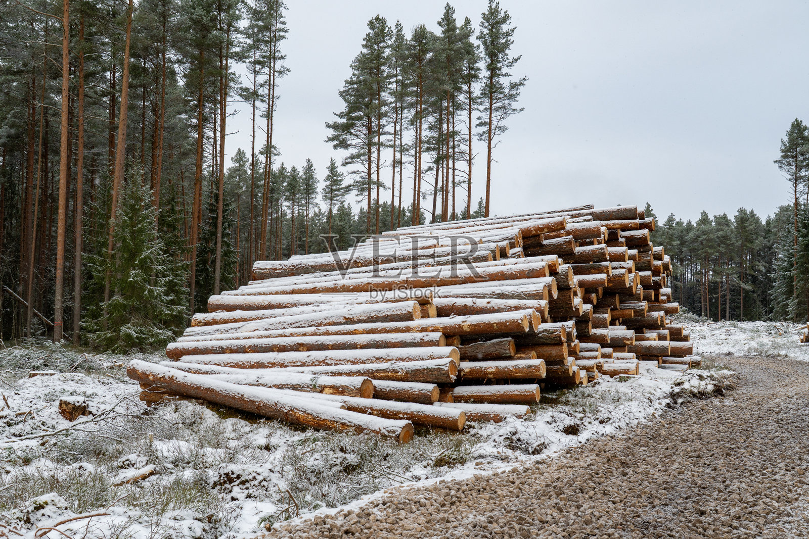 冬季,雪覆盖的木材堆积在泥泞的林间小道旁照片摄影图片