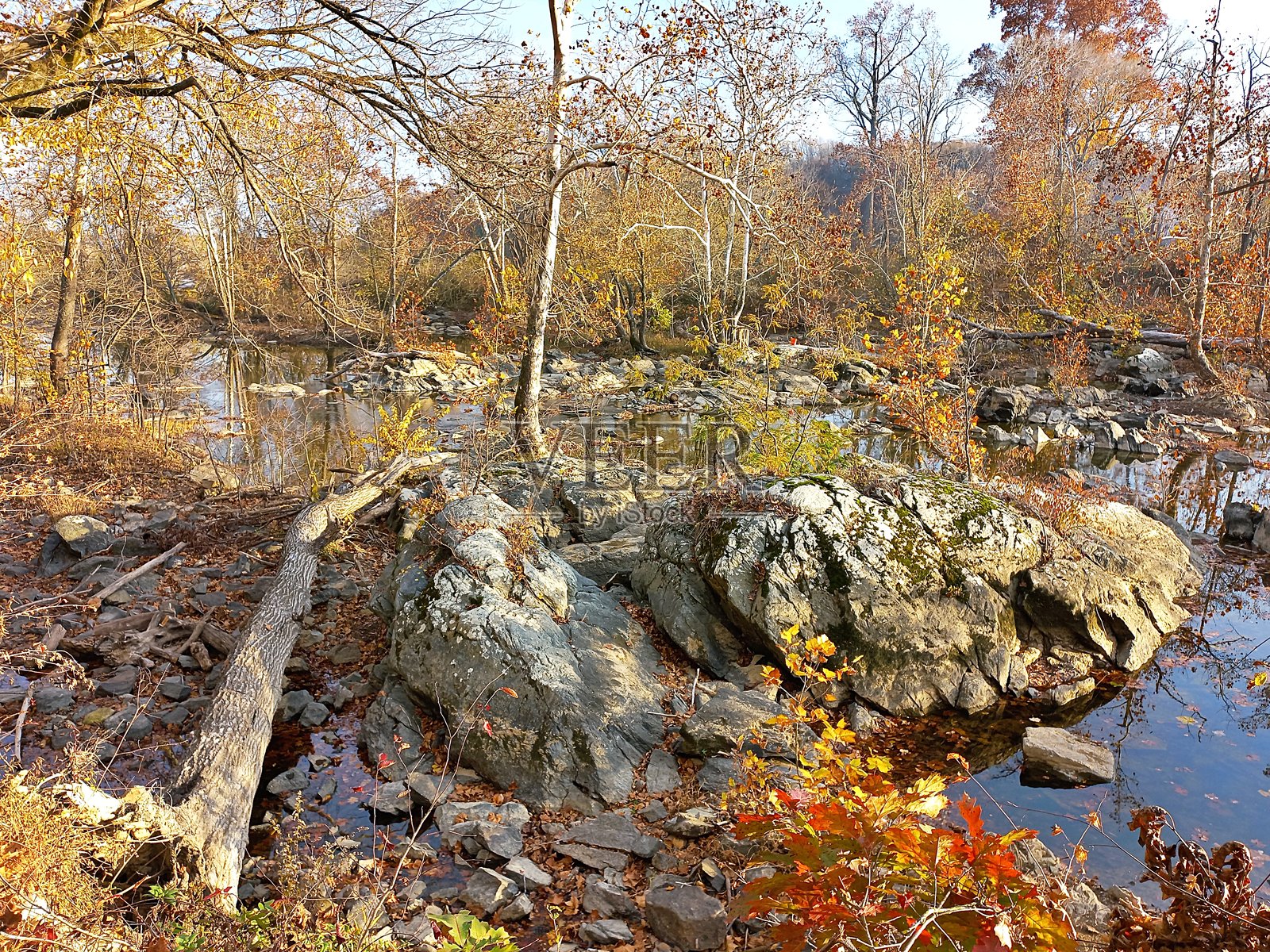 切萨皮克和俄亥俄运河步道 - 秋叶 #11照片摄影图片