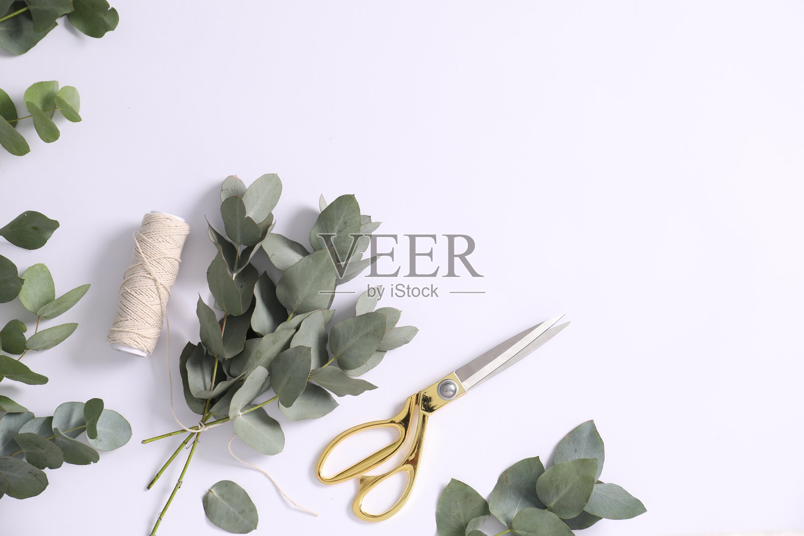 花艺师。白色桌子上摆放着桉树枝、线和剪刀,俯视拍摄。留有文字空间照片摄影图片